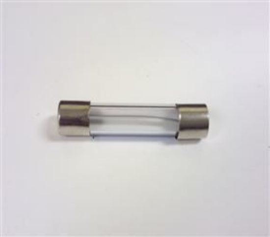 Picture of FUSE 10 AMP(GFS10)