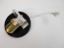 Picture of WASHER PUMP  AND LID ASSEMBLY TR6(GWW111)