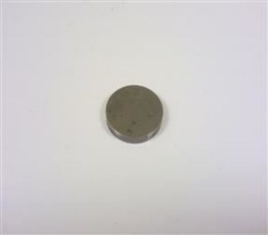 Picture of TAPPET SHIM 101 THOU(148206A)