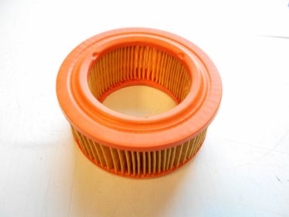 Picture of AIR FILTER ELEMENT HERALD/1300 FWD(GFE1015)