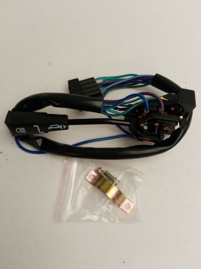 Picture of INDICATOR/LIGHT SWITCH DOLOMITE(218498)